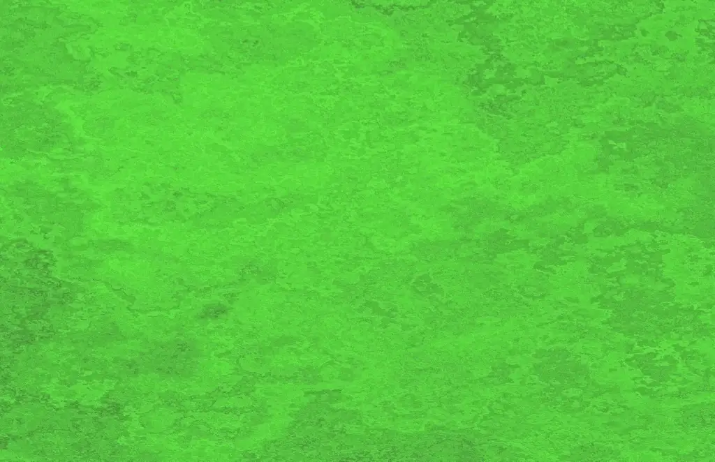 Rough colored slate rock texture