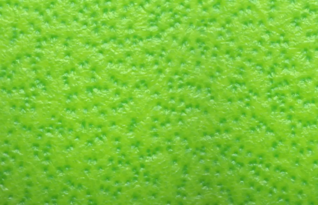 Lemon fruit skin closeup