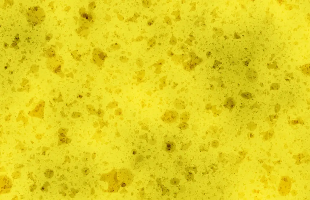 Closeup of a sponge texture with a bit of dirt and grime