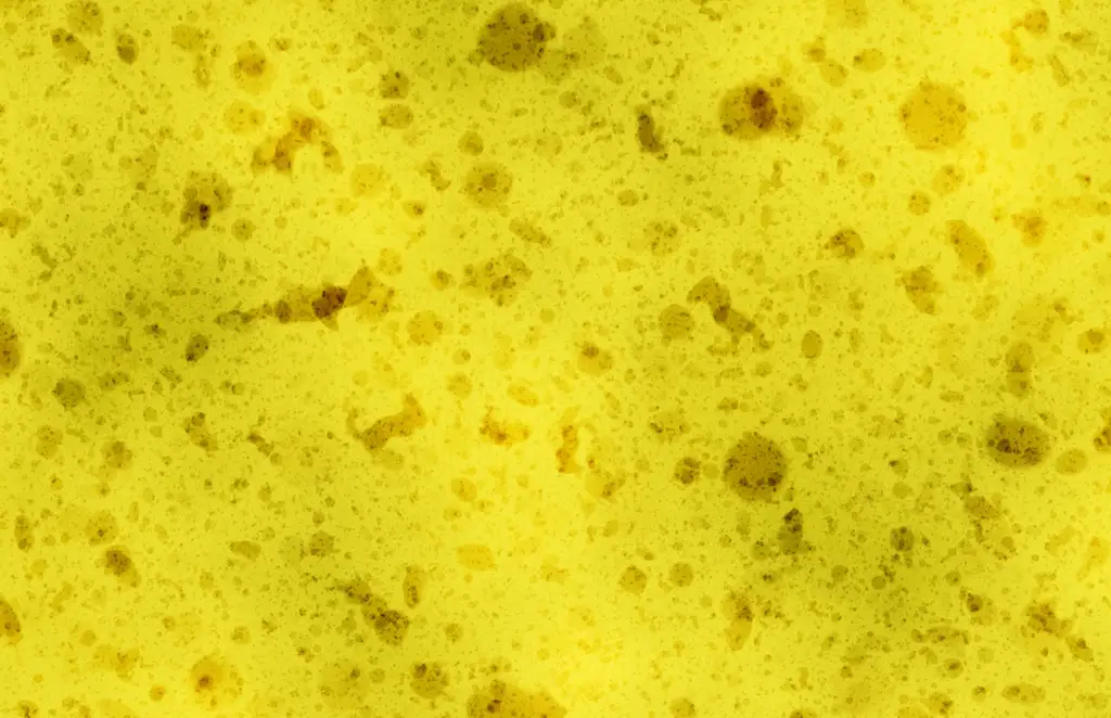 Closeup of a sponge texture with a bit of dirt and grime