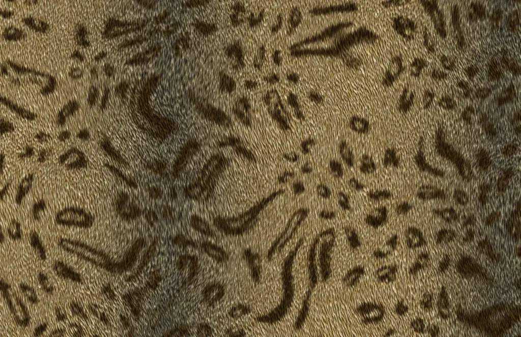A flattened out rendering of an animal skin texture