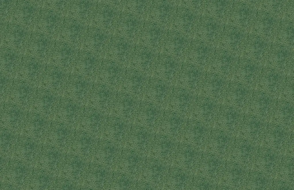 Carpet pattern texture