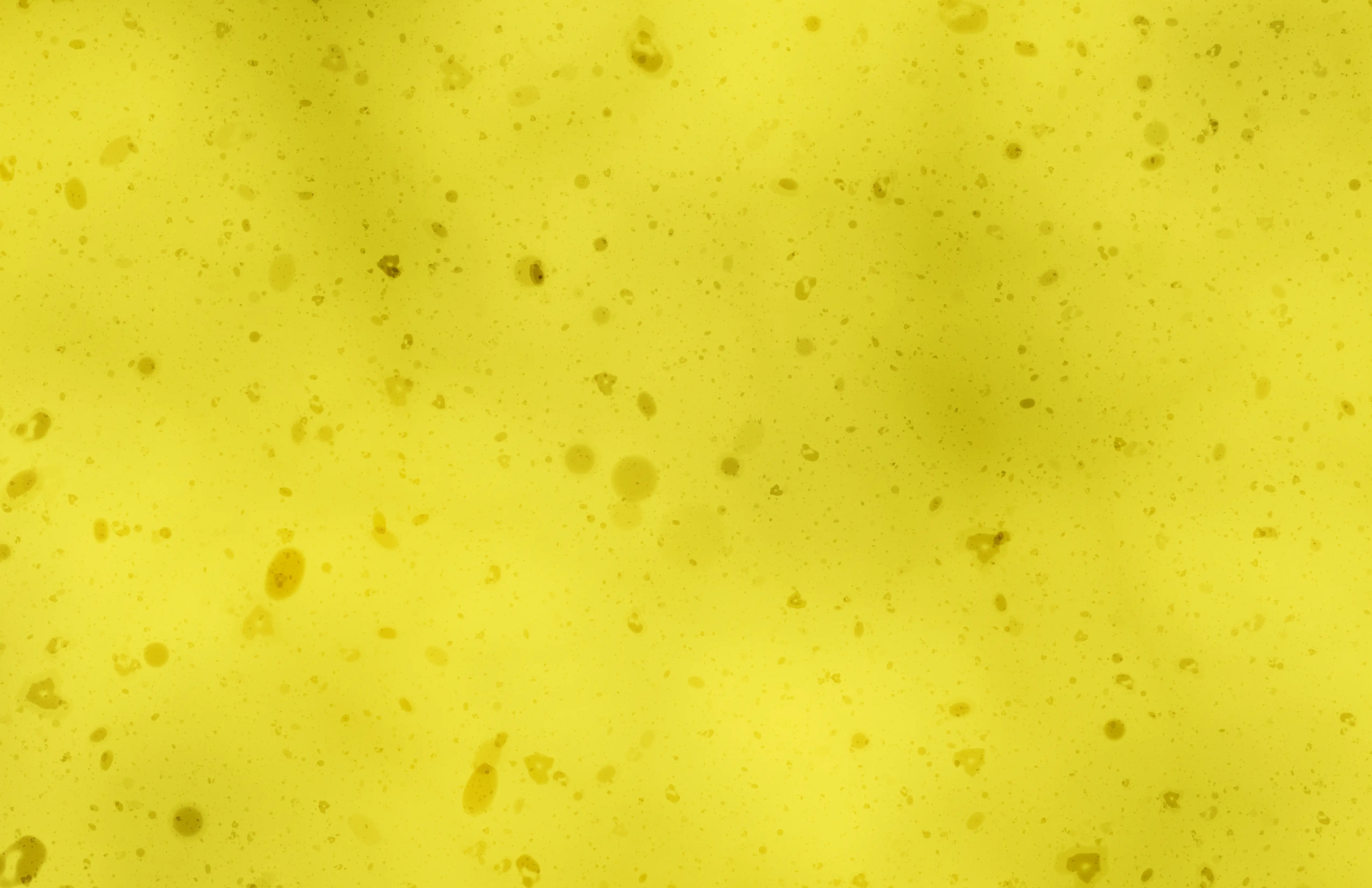 Closeup of a sponge texture with a bit of dirt and grime