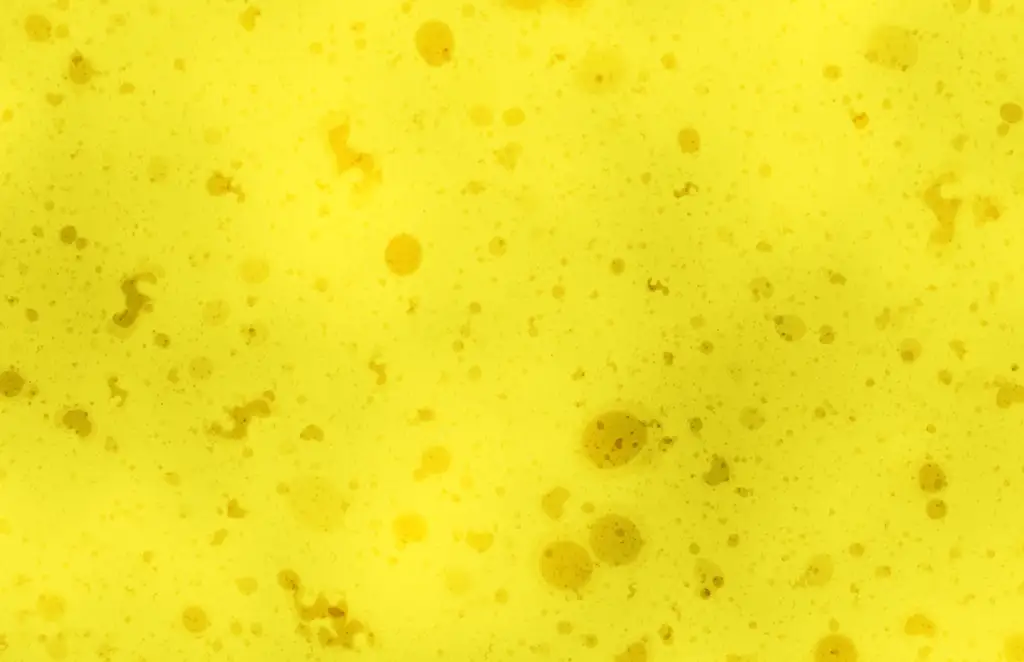 Closeup of a sponge texture with a bit of dirt and grime