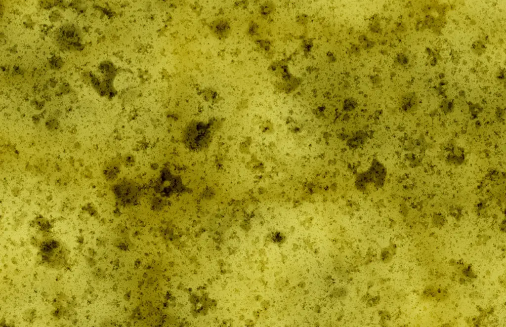 Closeup of a sponge texture with a bit of dirt and grime