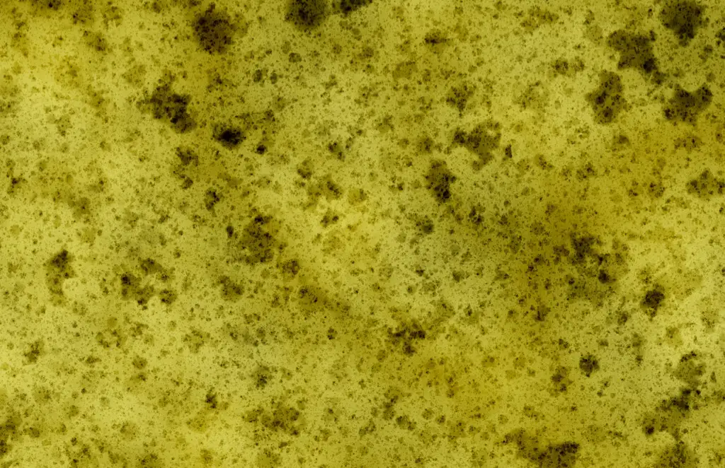 Closeup of a sponge texture with a bit of dirt and grime