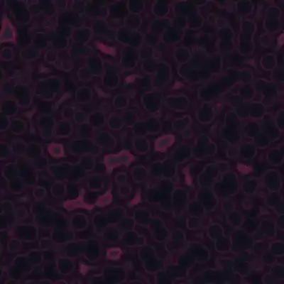 A congestive collection of a viral disease-type background tile texture