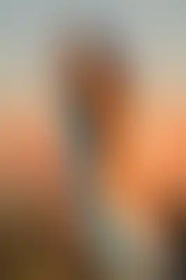 A soft blurred abstract background