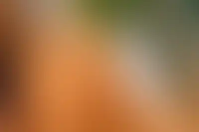 A soft blurred abstract background