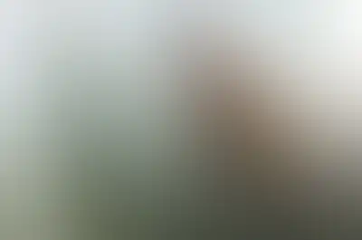 A soft blurred abstract background