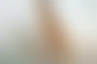 A soft blurred abstract background