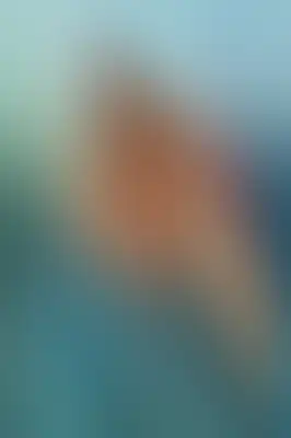 A soft blurred abstract background