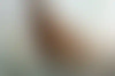 A soft blurred abstract background