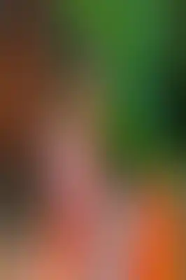 A soft blurred abstract background