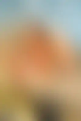 A soft blurred abstract background