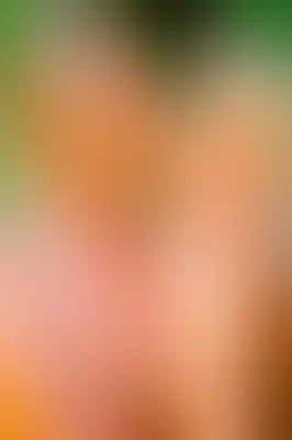 A soft blurred abstract background