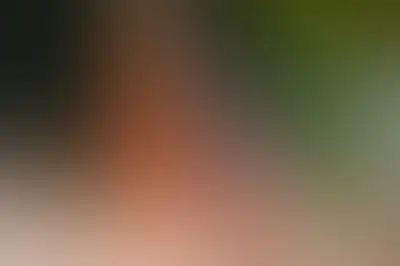 A soft blurred abstract background