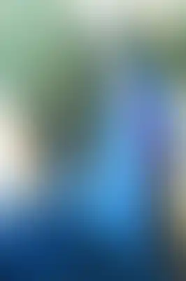 A soft blurred abstract background