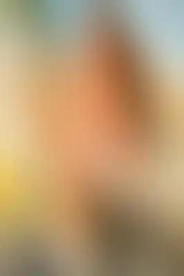 A soft blurred abstract background