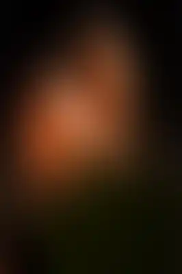 A soft blurred abstract background