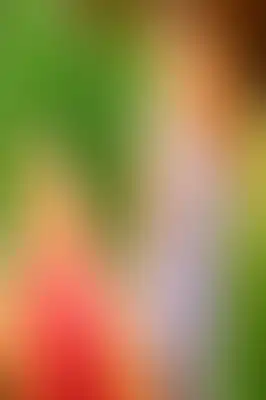 A soft blurred abstract background