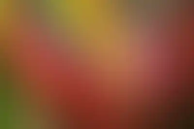 A soft blurred abstract background