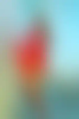 A soft blurred abstract background