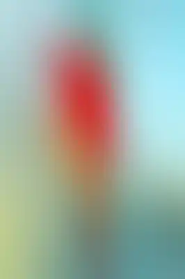 A soft blurred abstract background