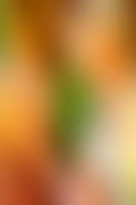 A soft blurred abstract background