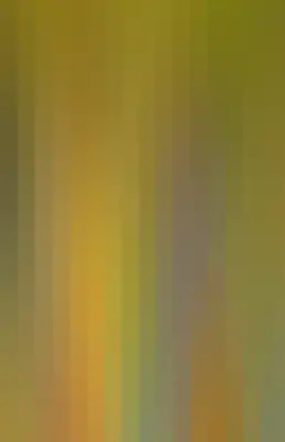 Striped color bar-11