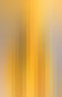 Striped color bar-12