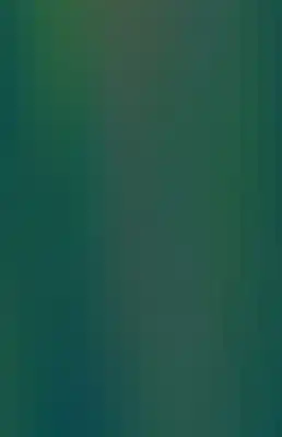 Striped color bar-173