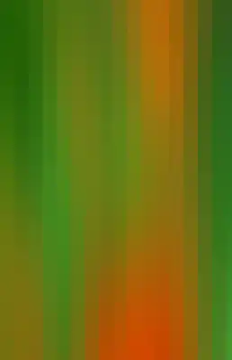 Striped color bar-187