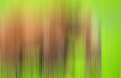 Vertical blur streaked background