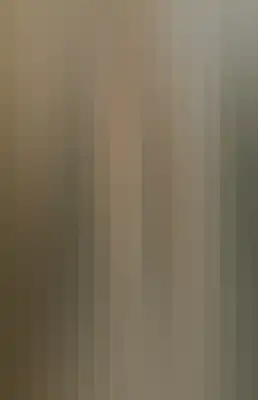 Striped color bar-317