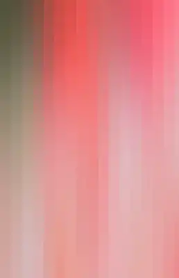 Striped color bar-350