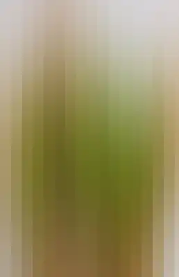 Striped color bar-358