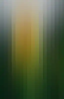 Striped color bar-420