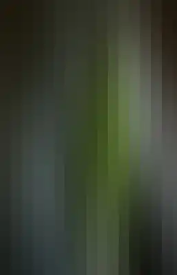 Striped color bar-481