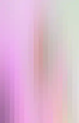 Striped color bar-494