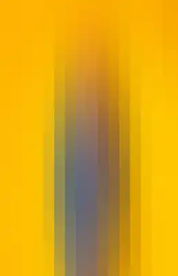 Striped color bar-524