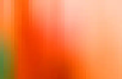 Striped color bar-566