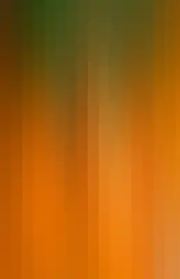 Striped color bar-672