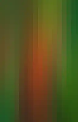 Striped color bar-686