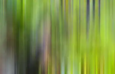 Vertical blur streaked background