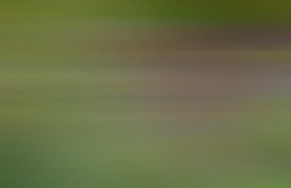 Smooth Ribbed Gradient 1145