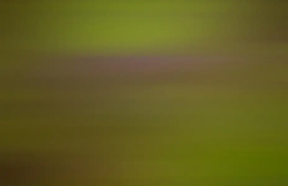 Smooth Ribbed Gradient 1269