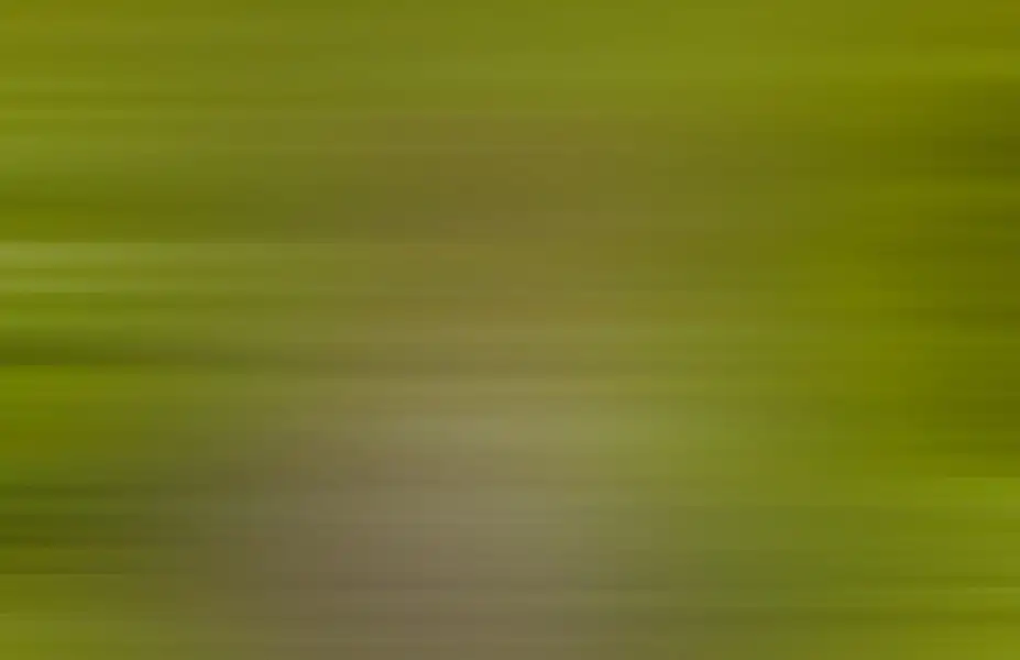 Smooth Ribbed Gradient 1653