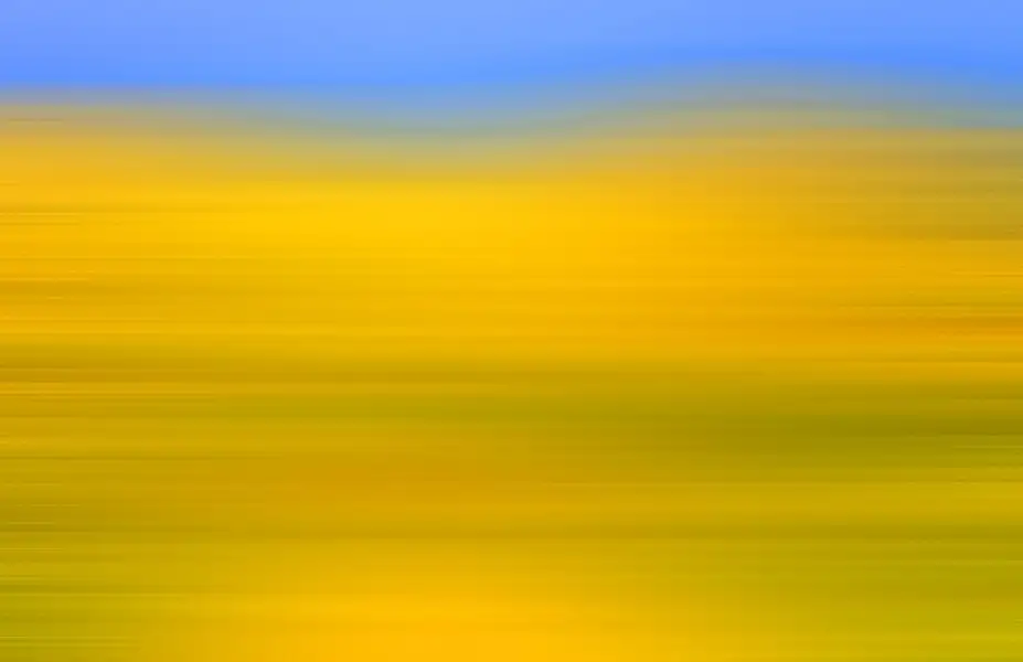 Smooth Ribbed Gradient 1724