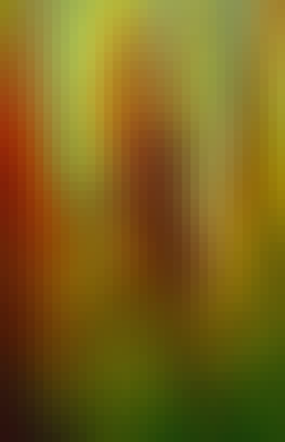 Mosaic Gradient Background 116